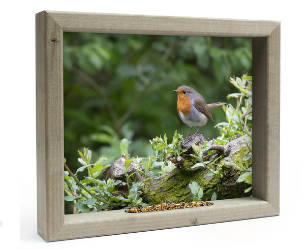 Feedy Vogelvoederlijst medium - Roodborstje in het bos (41 x 34 cm)