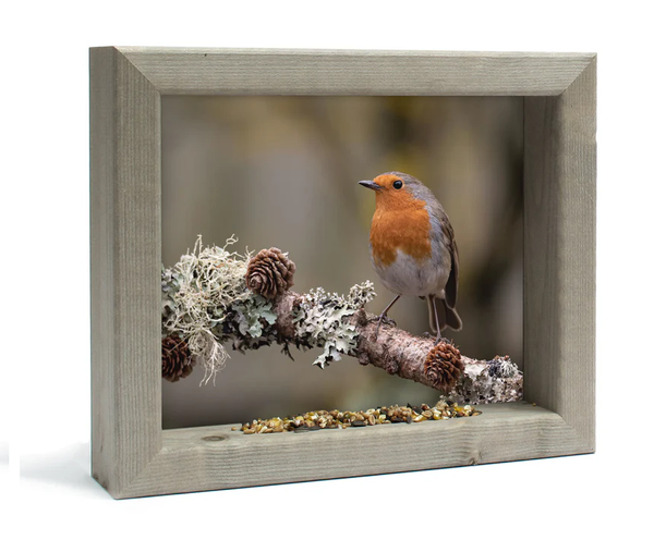 Feedy vogelvoederlijst small - Roodborst op herfsttak