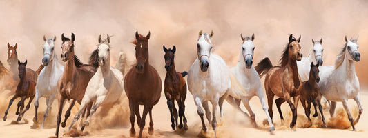 Glasschilderij kudde paarden 160x60 cm