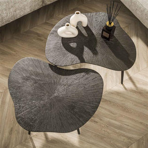 Salontafel set van 2 stuks leaf ray metal / Bruin brons