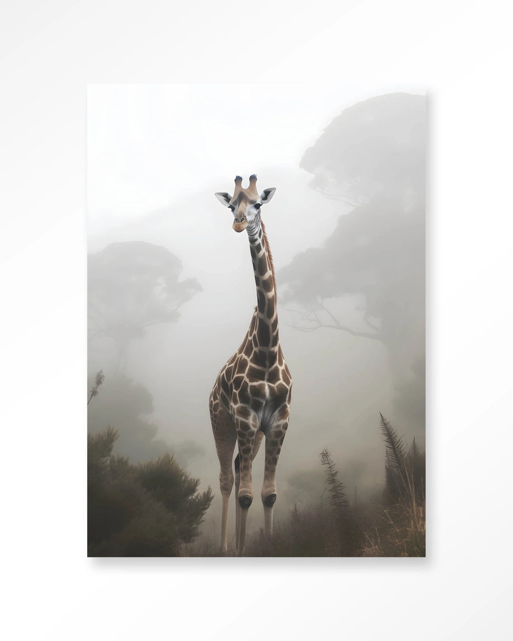 Glasschilderij Giraffe Mist - Urban Cotton