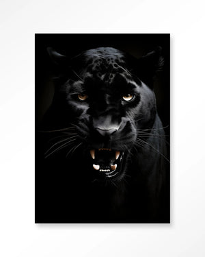 Glasschilderij Rawr Panther - Urban Cotton