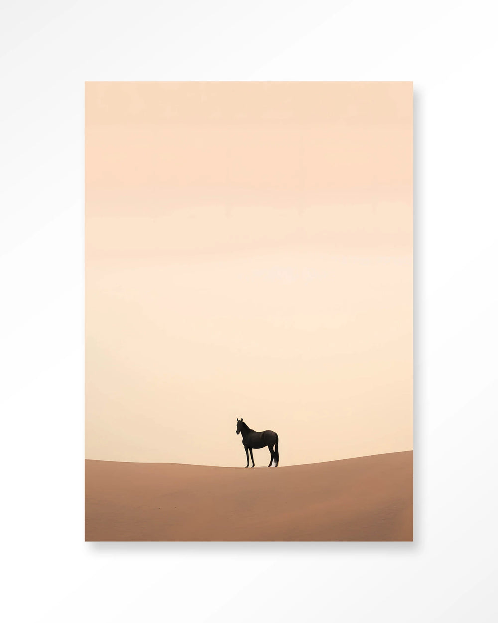Glasschilderij Desert Horse - Urban Cotton