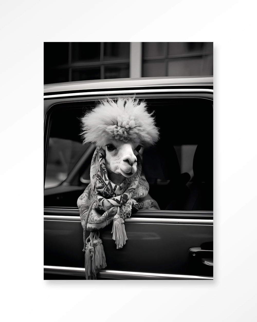 Glasschilderij Alpaca In Taxi - Urban Cotton