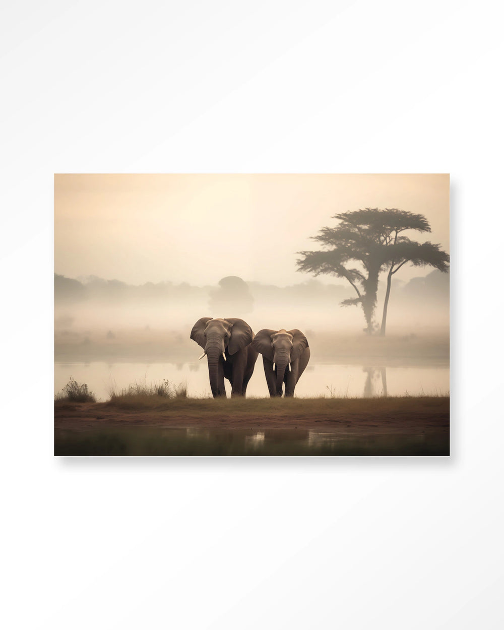 Glasschilderij Elephant Mother - Urban Cotton