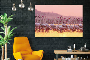Glasschilderij Flamingo's 120x80cm