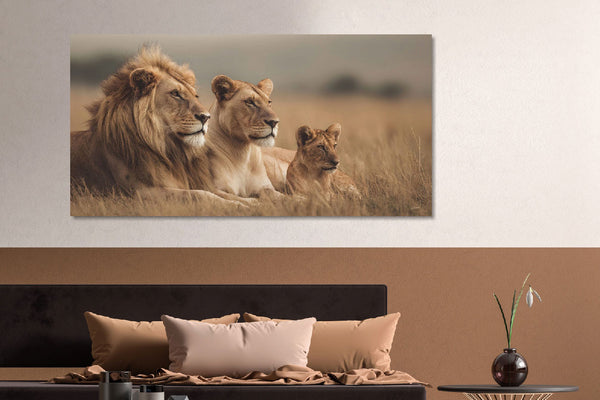 Glasschilderij  3 liggende leeuwen 160x80cm
