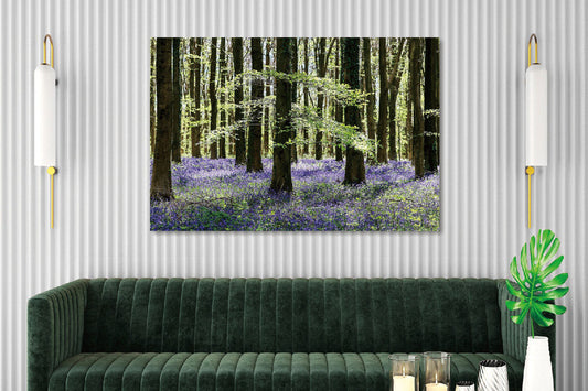Glasschilderij  Bos met paarse bloemen 120x80 cm