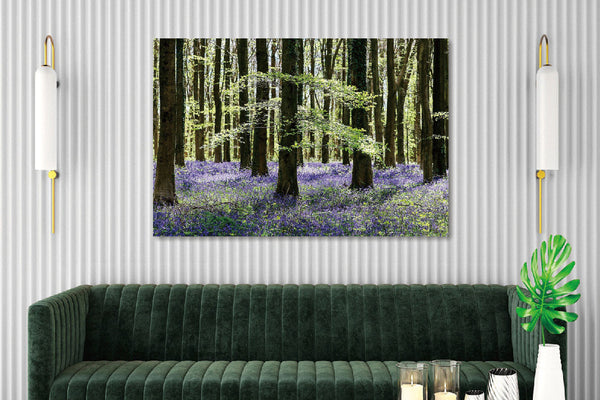 Glasschilderij  Bos met paarse bloemen 120x80 cm