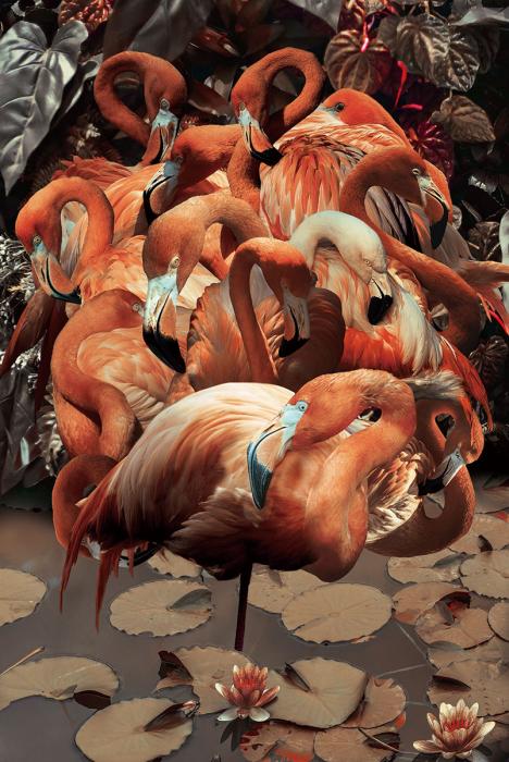 Glasschilderij  Flamingo's 120x80 cm