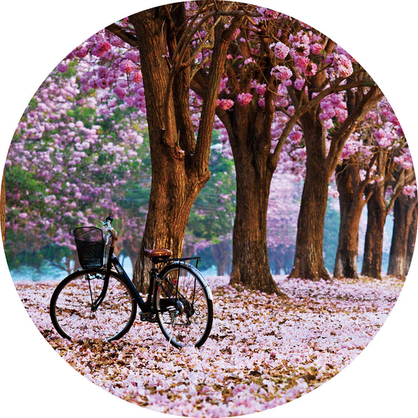 Glasschilderij rond fiets onder bloesem bomen Ø80 cm (magazijn sale)