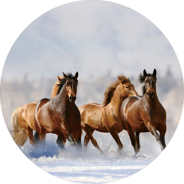 Glasschilderij rond paarden in de sneeuw Ø80 cm (magazijn sale)