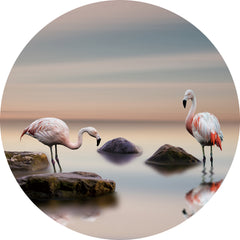 Glasschilderij rond flamingo's Ø80 cm