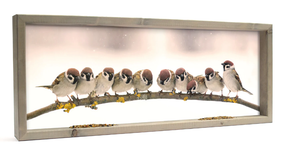 Vogelvoederlijst  panorama - Mussen op tak (10 mussen) (Magazijn sale)