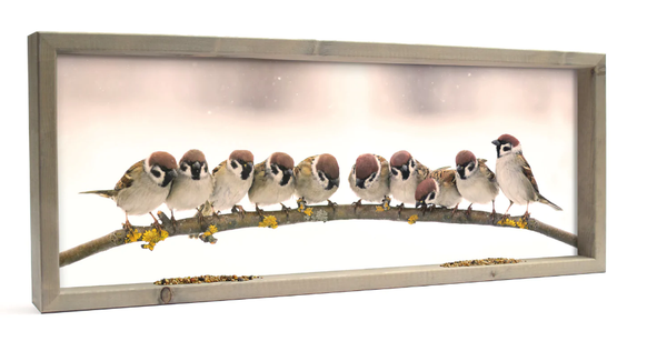 Vogelvoederlijst  panorama - Mussen op tak (10 mussen) (Magazijn sale)