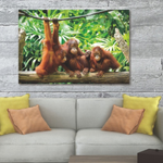 Glasschilderij Orang-oetans 120x80 cm (premium)