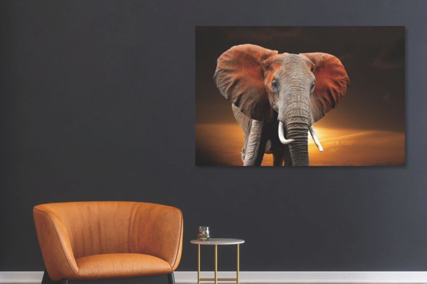 Glasschilderij olifant 120x80 cm (Magazijn sale)