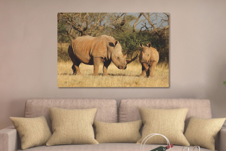 Glasschilderij dieren: Neushoorns 120x80 cm (Premium)