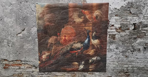 Muse pauw op perkament canvas 120x120 cm