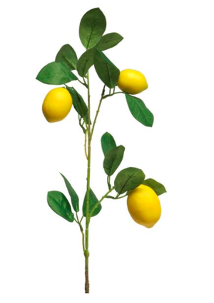 Zijde Citrustak citroenen 3/steel