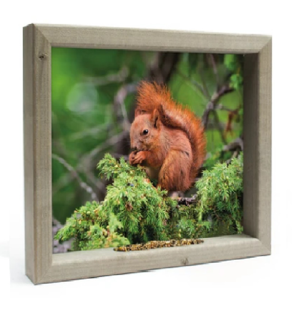 Feedy Vogelvoederlijst medium - Eekhoorn (41 x 34 cm)