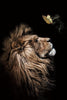 Glasschilderij Leeuw met vlinder 80x120 cm