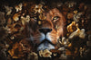 Glasschilderij leeuw divers 120x80 cm