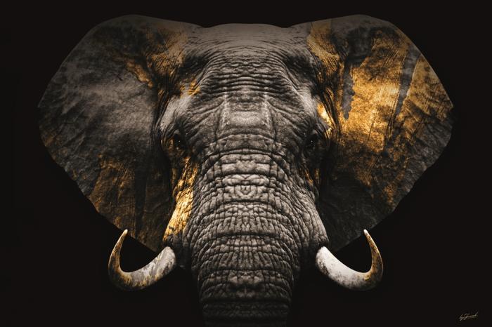 Glasschilderij olifant goud - 120x80 cm