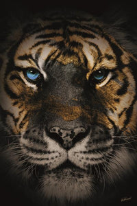 Glasschilderij tijger goud - 80x120 cm