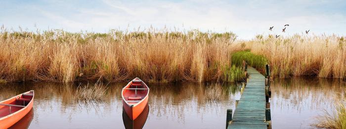 Glasschilderij wandelpad over het water / bootjes  - 200x80 cm