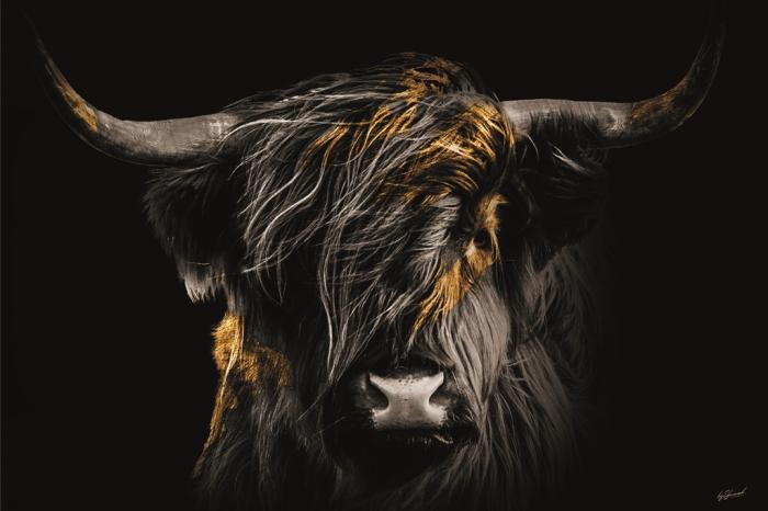 Glasschilderij schotse hooglander gouden tinten - 160x110 cm