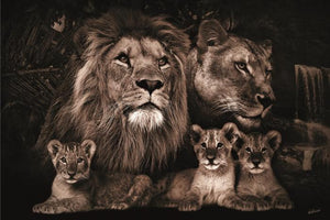 Glasschilderij leeuw + drie welpjes 160x110 cm
