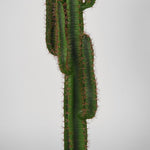 Kunstplant Cactus
