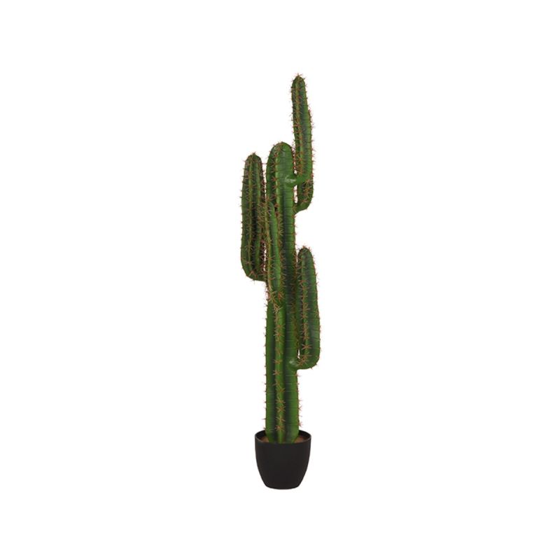 Kunstplant Cactus