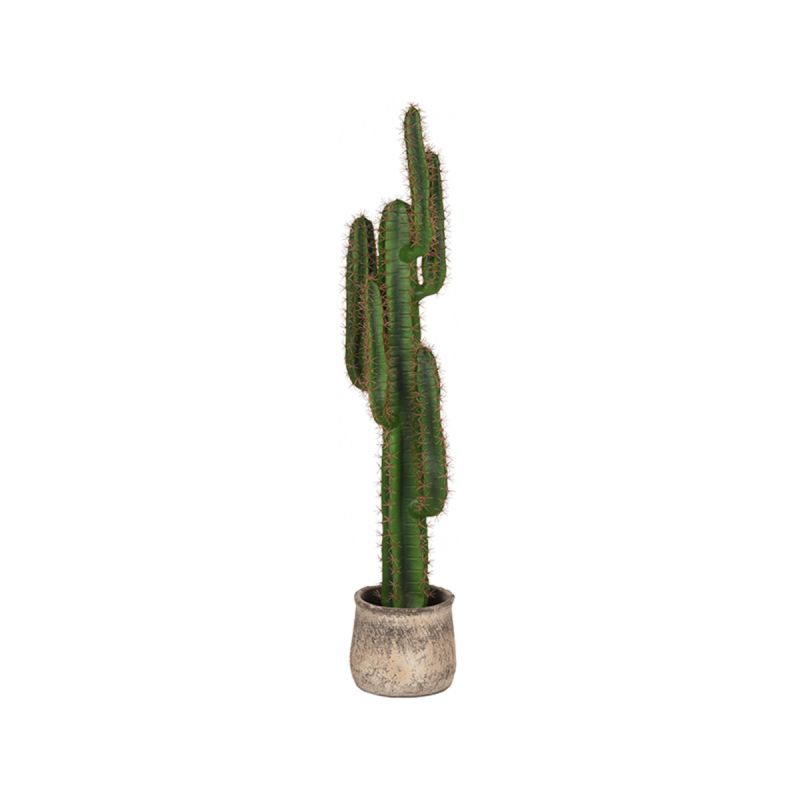 Kunstplant Cactus