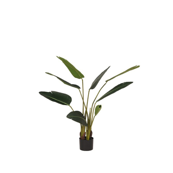 Kunstplant Strelitzia
