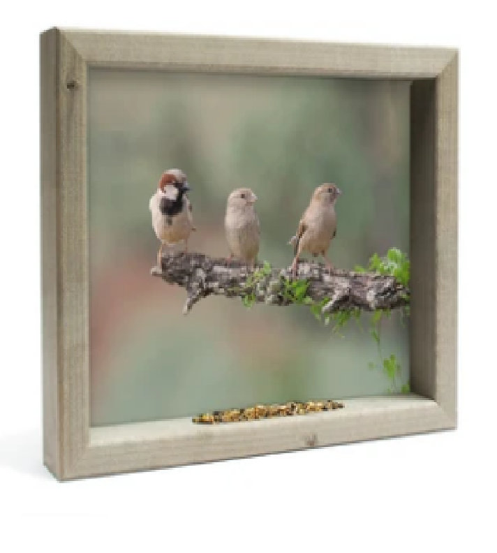 Feedy Vogelvoederlijst medium - Mussen op tak (Magazijn sale)