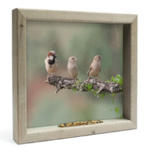 Feedy Vogelvoederlijst medium - Mussen op tak (Magazijn sale)