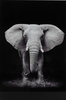 Glasschilderij olifant 120x80 cm
