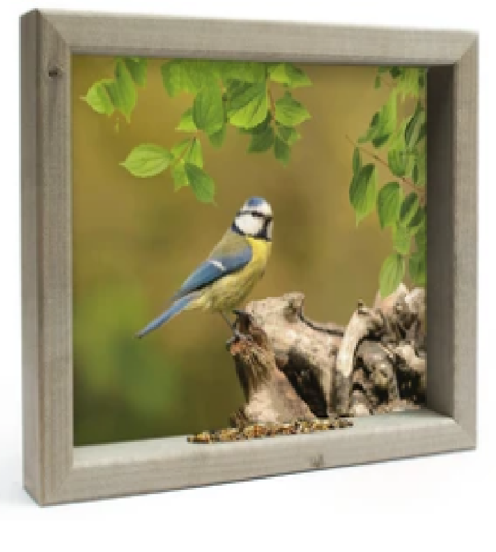 Feedy Vogelvoederlijst medium - Pimpelmees (41 x 34 cm)