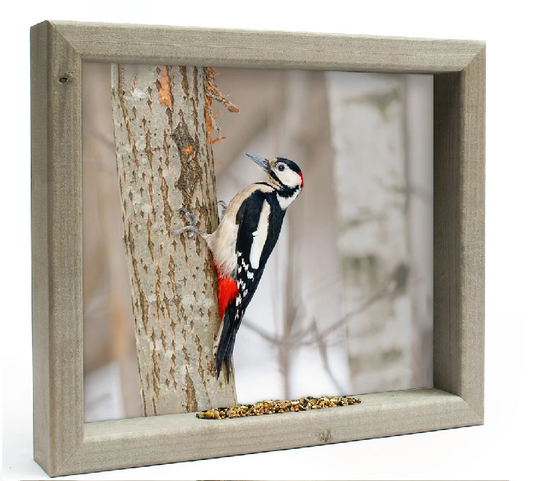 Feedy Vogelvoederlijst medium - bonte specht  (41 x 34 cm)