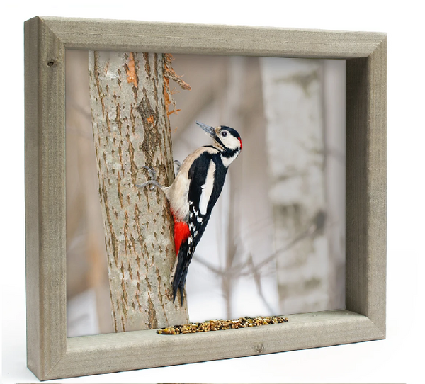 Feedy Vogelvoederlijst medium - bonte specht  (41 x 34 cm)