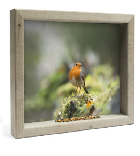 Feedy Vogelvoederlijst medium - Roodborstje (41 x 34 cm)