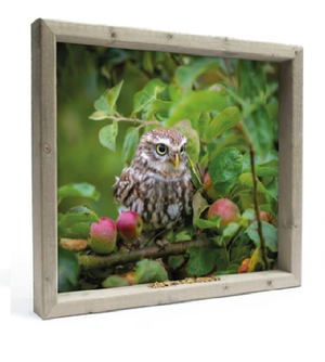 Feedy vogelvoederlijst large - Uiltje (51 x 42 cm) (Magazijn sale b-keus)