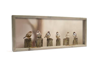 Feedy Vogelvoederlijst  panorama - Mussen op palen (102 x 42 cm)