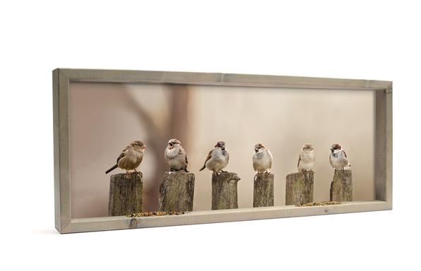 Feedy Vogelvoederlijst  panorama - Mussen op palen (102 x 42 cm)