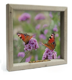 Feedy Vogelvoederlijst medium - Vlinders (41 x 34 cm) (Magazijn sale)